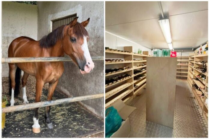 MACC seizes six luxury homes worth RM12m, thoroughbred horse in sukuk funds scandal involving ‘Tan Sri’