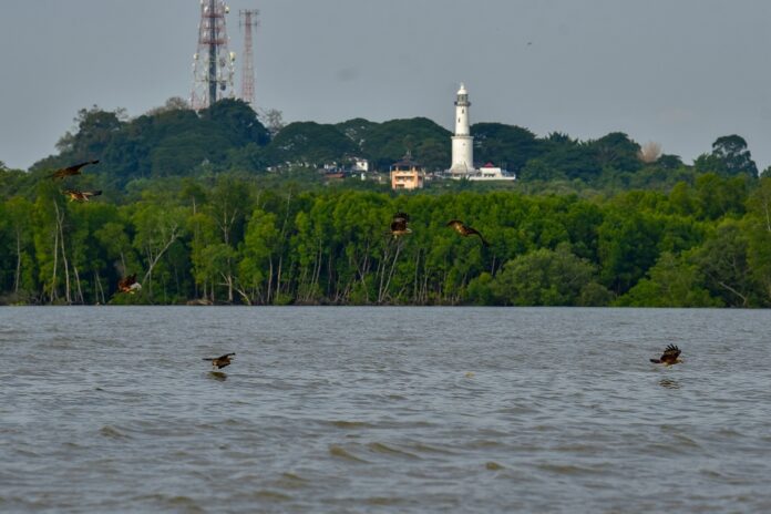 From fireflies to fruit farms: Why Kuala Selangor is the perfect weekend escape from KL