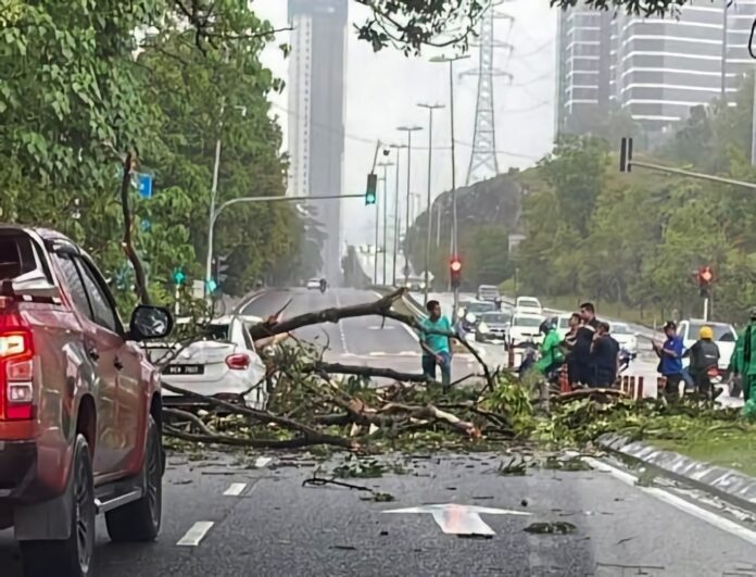 One dead, one injured after trees fall on cars in Kepong Baru, Taman Duta