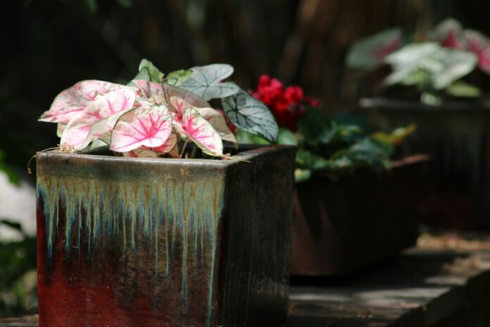 She fought back with a flower pot: Woman escapes brutal assault after being snatched by ex at Alor Gajah mosque