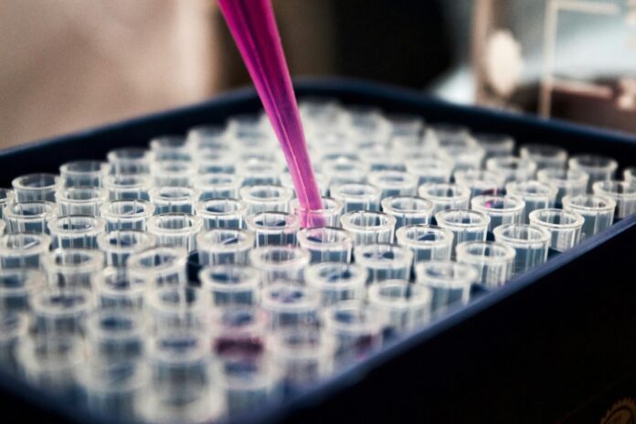 New drugs offer fresh hope against pancreatic cancer