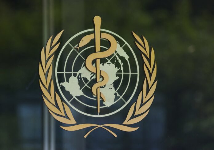 WHO: New hantavirus case confirmed in Netherlands crew member