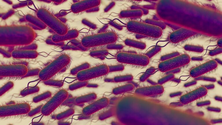 Parasite causing ‘explosive diarrhea’ sickening Americans