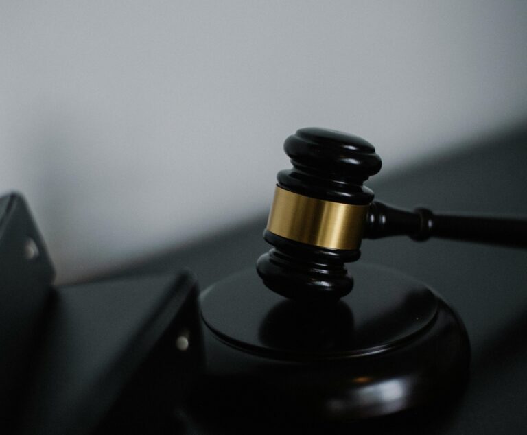 Businesswoman Sofia Rini to be charged with defamation today