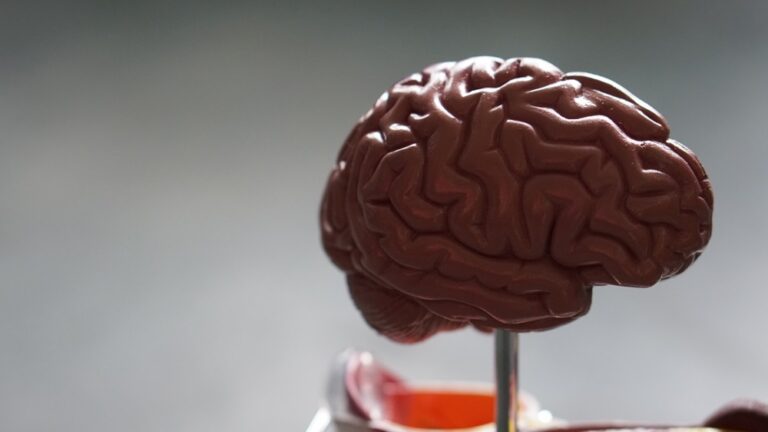 Dementia prevention possible as WHO highlights tobacco, isolation and inactivity among key risk drivers