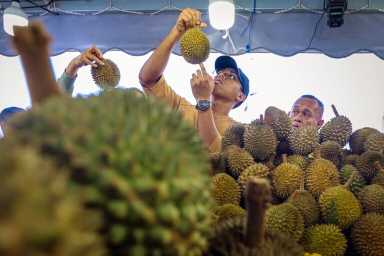 Durians for all: Price drop turns king of fruits into a season of sharing