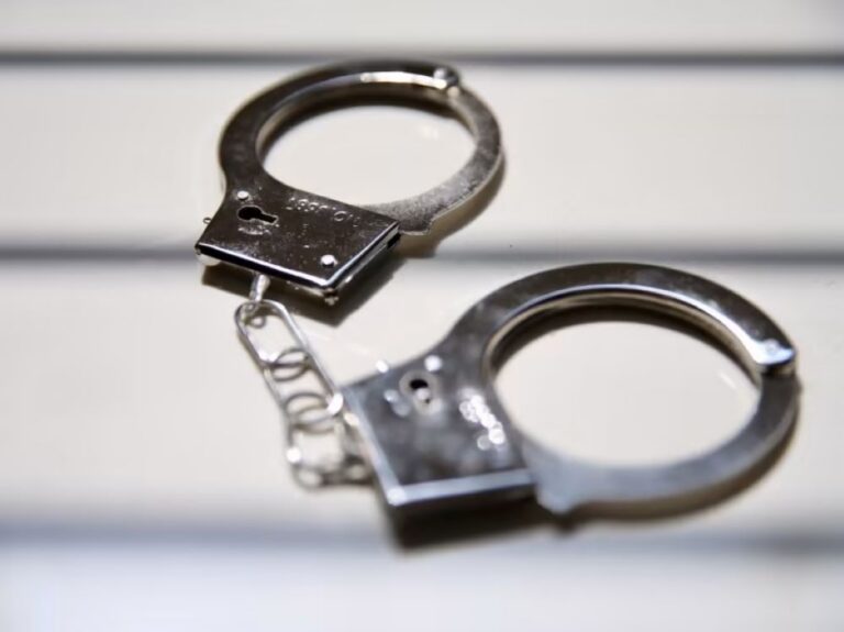 Activist remanded for two days in Seremban after returning from Thailand