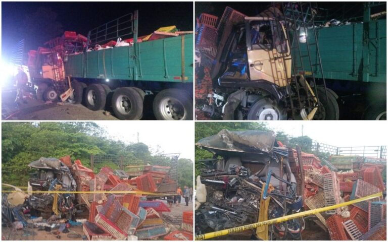 Three killed after chicken-laden lorry crashes into parked trailer in Tanah Merah
