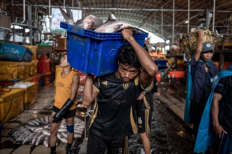 Inside Yangon’s fish markets, survival amid Myanmar’s five-year civil war