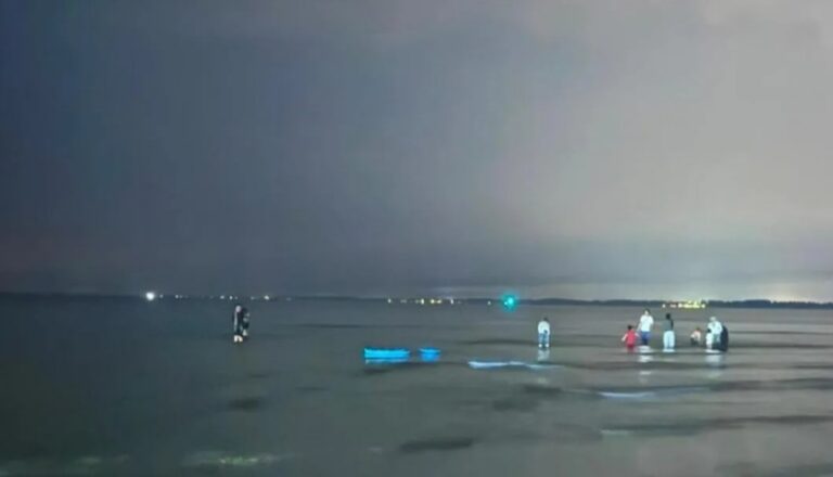 Viral ‘blue tears’ turn Kuantan’s Tembeling Beach into a neon dream