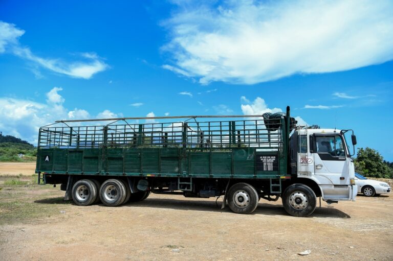 Two-year-old girl killed after being hit by grandfather’s trailer lorry in Gurun