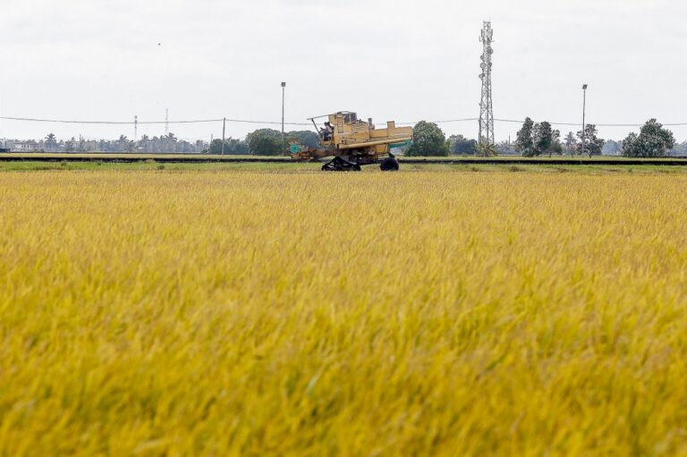 Agricultural TVET graduate employment rises to 76pc, still below national average
