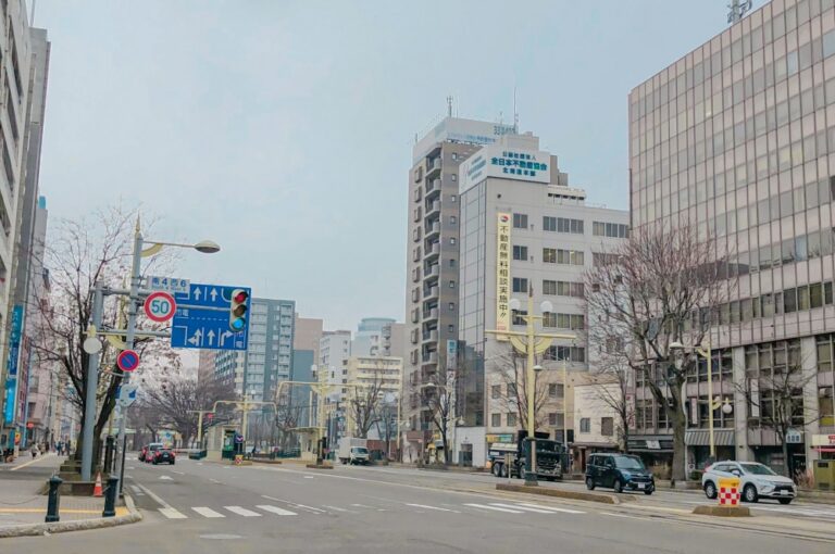 Keep left please: Rental car crashes quadruple, Japan paints lanes, plants bollards to steer tourists