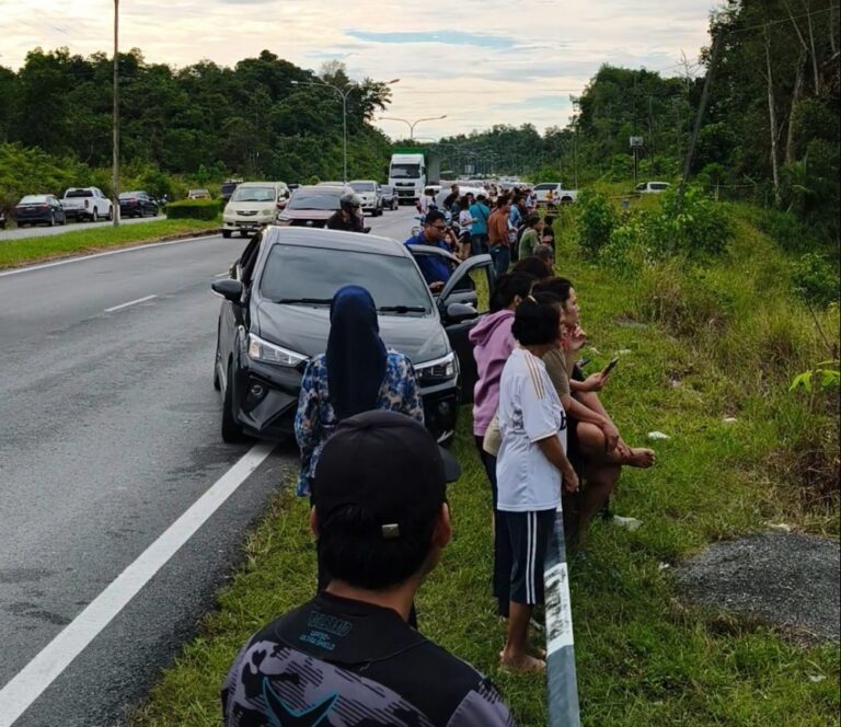 Licensed hunter urges cooperation as Sibu crocodile chase draws roadside crowds, sparks traffic chaos