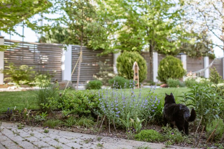 Home gardens and parks linked to lower risk of type 2 diabetes, study finds
