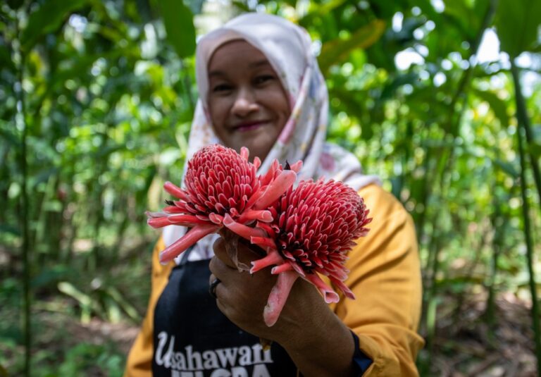 Perak mum’s backyard hustle transforms torch ginger into serunding empire reaching Singapore, Dubai