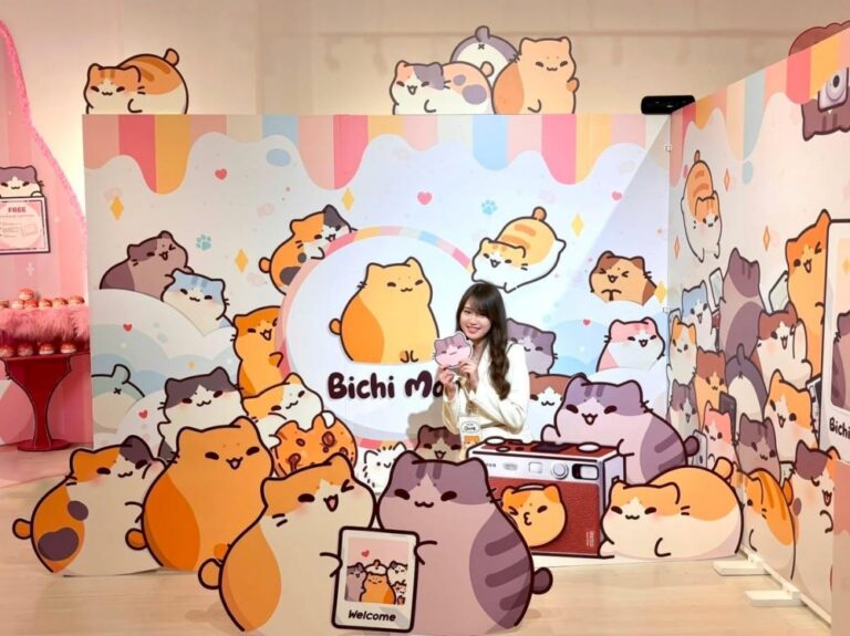 One chubby cat led to 2.5 million Instagram followers and a whole new career for Sabah artist Olive Yong