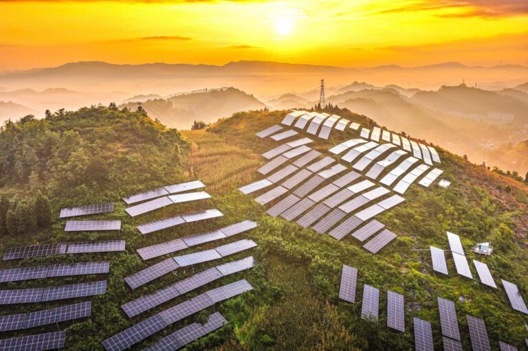 Can China’s solar boom be good for the climate but bad for wildlife?