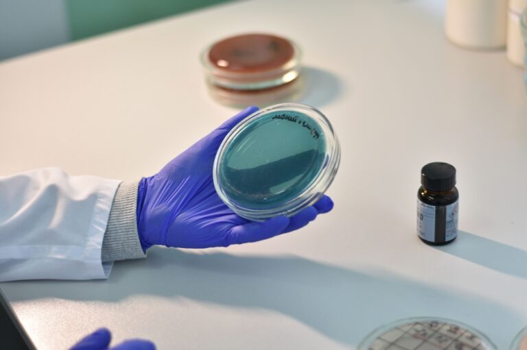 Japanese university finds river bacteria that remove ‘forever chemicals’