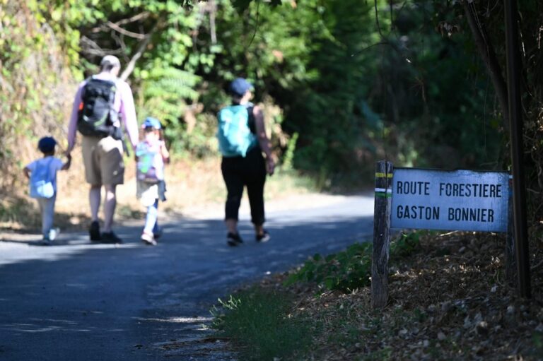 Fontainebleau reopens after wildfire, climbers and walkers flock back to Paris woods