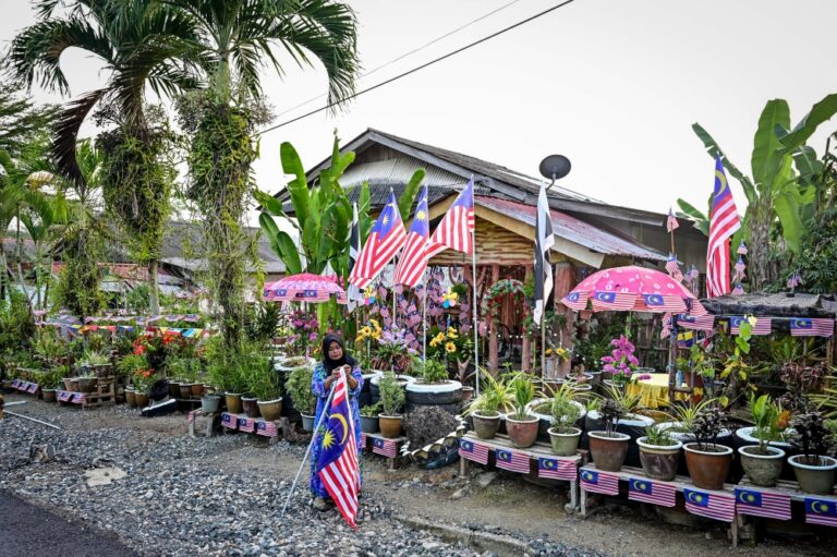 A sea of Jalur Gemilang: Terengganu housewife turns home into Merdeka tribute
