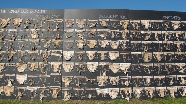 Did you know your underwear can tell you about soil health? Not kidding, Swiss scientists buried 2,000 pairs — here’s what they found