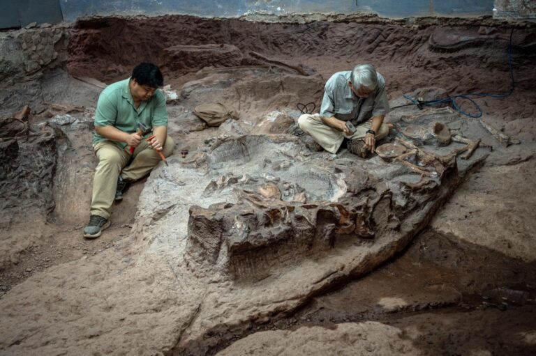 ‘Just the beginning’: Thailand’s dinosaur rush could soon uncover its 16th species