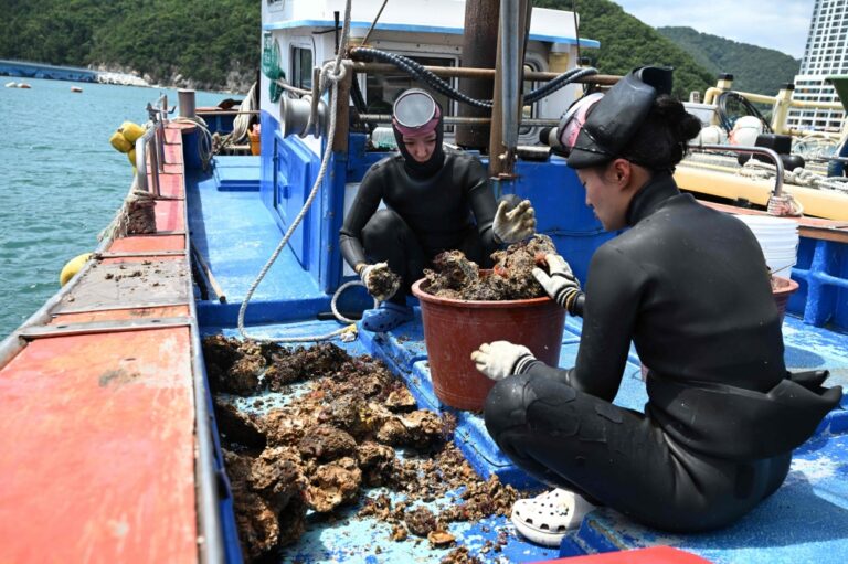 The sea is dangerous, but for some young South Korean women, escaping the rat race means diving into the deep end