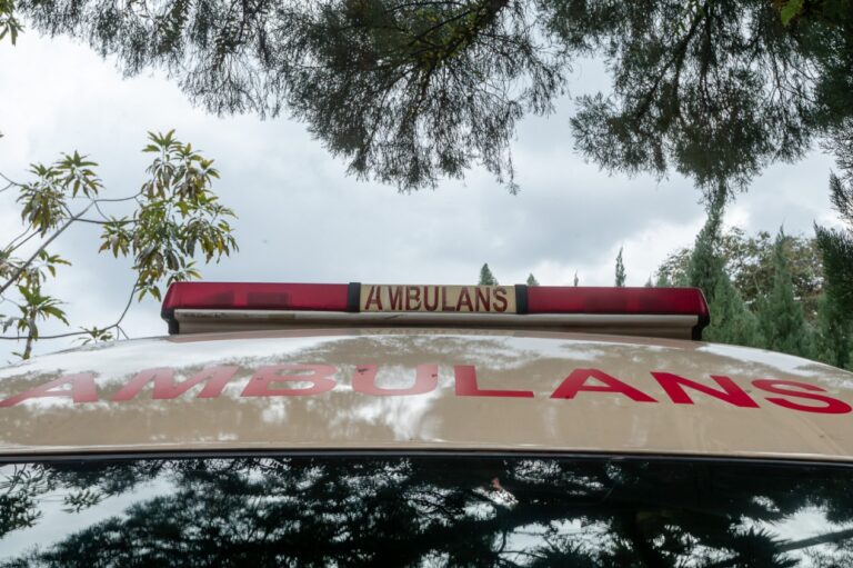 Man dies of rabies in Kedah’s first human case in 28 years