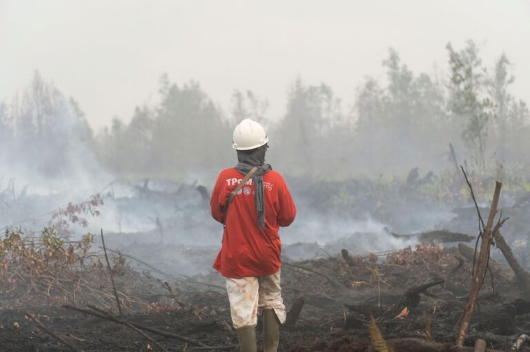 DOE: Over 500 hotspots in Kalimantan and Sumatra behind haze in Malaysia
